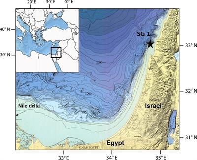 The Effect of Early Diagenesis in Methanic Sediments on Sedimentary Magnetic Properties: Case Study From the SE Mediterranean Continental Shelf
